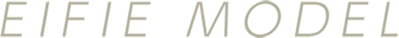 EIFIE MODEL